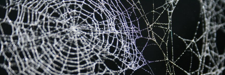 Cover image for post Dark Threads, by Dark