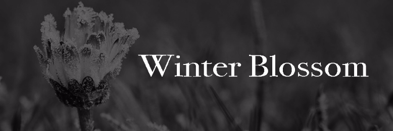 Cover image for post Winter Blossom, by Crow
