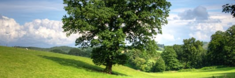 Cover image for post Acceptance, by brchitwood