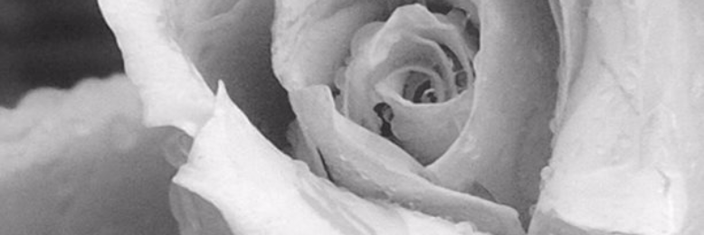 Cover image for post No Apology, by wordswithwings