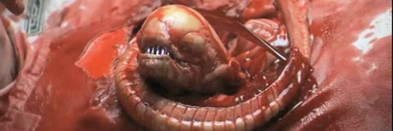 Cover image for post The Chestburster, by Harry_Situation