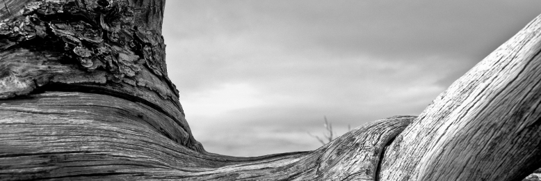 Cover image for post Have we overstayed our welcome, by Storybob