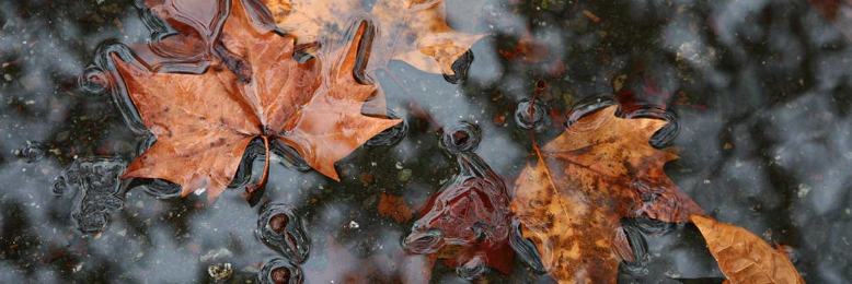 Cover image for post Title, by title