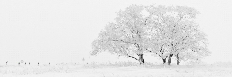 Cover image for post His Love For Her, by dustygrein