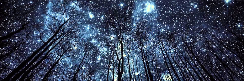 Cover image for post Lucida, by Jnuior