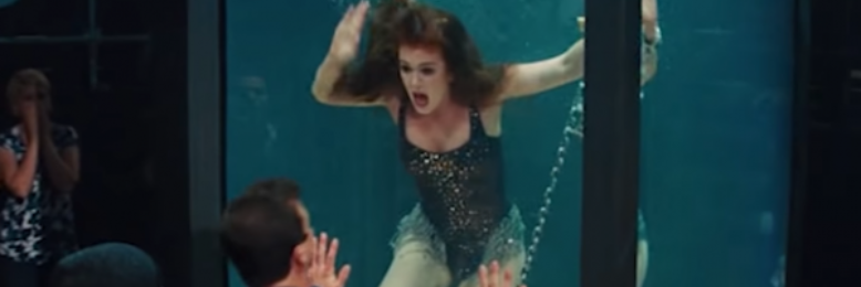 Cover image for post Decorative Pets, by Bunny