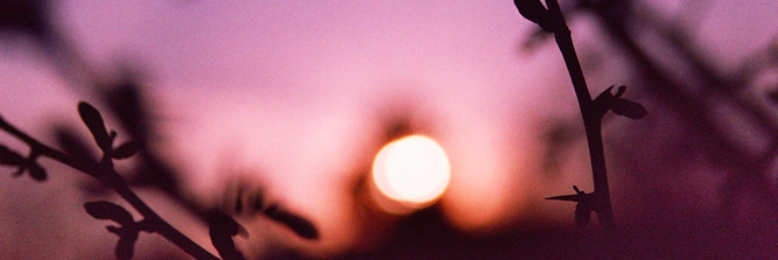 Cover image for post Sinking, by liam1000