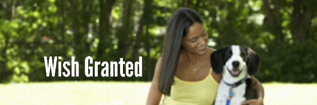 Cover image for post Wish Granted, by rhale3