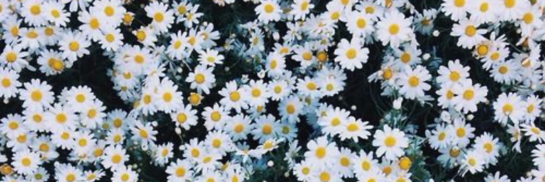 Cover image for post Οὖτις, by fueledbysadness