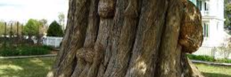 Cover image for post Silent Riddle, by sandflea68