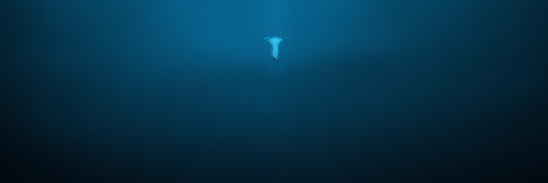 Cover image for post The Lone Whale, by MikeRich15