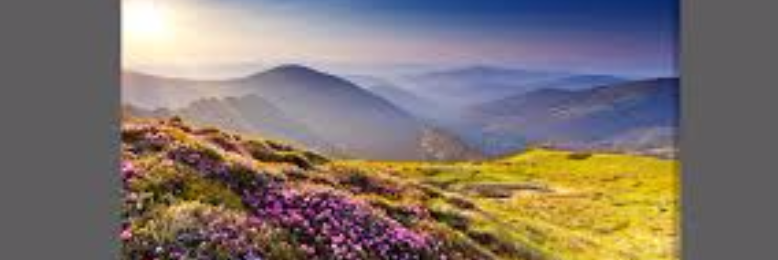 Cover image for post to a garden girl, by wordSwork