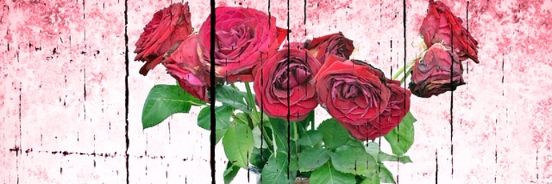 Cover image for post Ugly Beauty (first chapter), by chainedinshadow