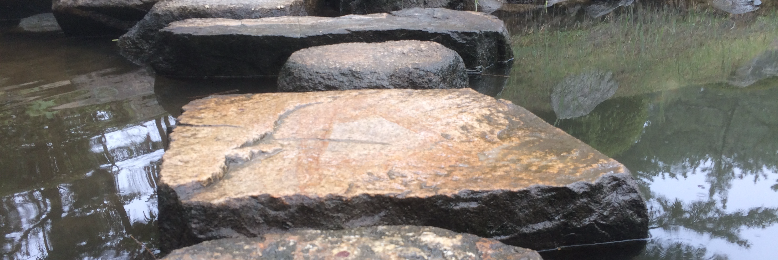 Cover image for post Down the Bumpy Path, by phea59314