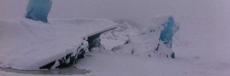 Cover image for post Nature's Calls, by northernlight