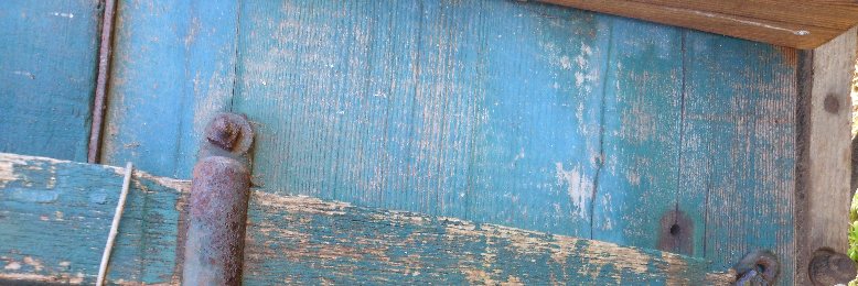 Cover image for post Amnesty, by eileen