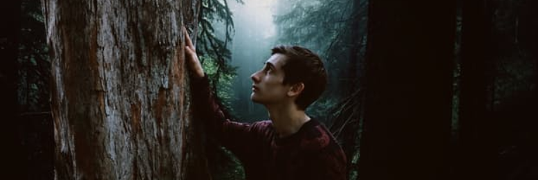 Cover image for post Asher: The Earth Element, by Clarity