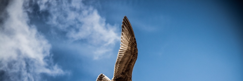 Cover image for post How was heaven?, by Hamstarceativez