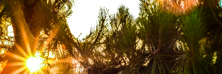 Cover image for post She, by Filosifi