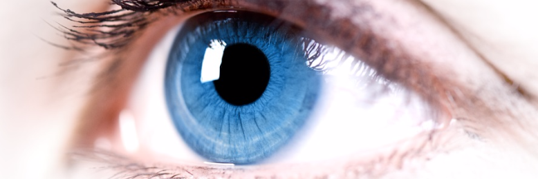 Cover image for post The Cleansing, by LenoraHoward