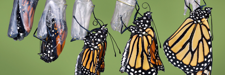 Cover image for post Until Death Goodbye, by Malone