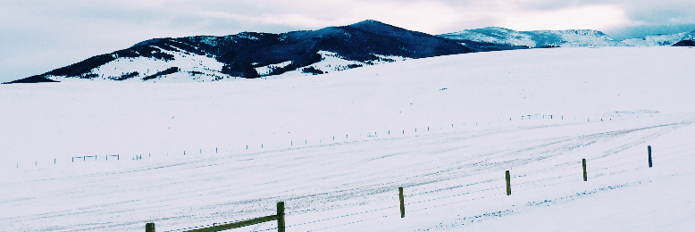 Cover image for post Teal Ranch, by elliegsnyder