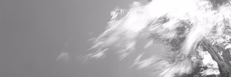 Cover image for post Untitled, by Wandress