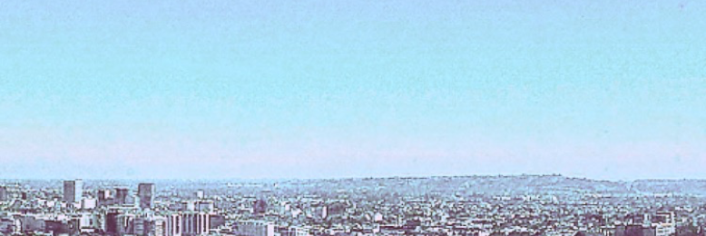 Cover image for post The Big Orange (Excerpt), by OkayOkay