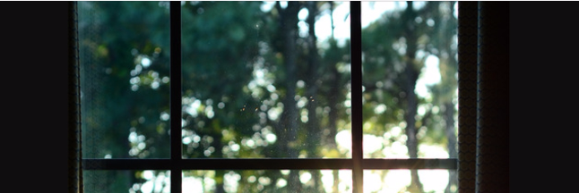 Cover image for post The Fight, by Gypsy_Jargon