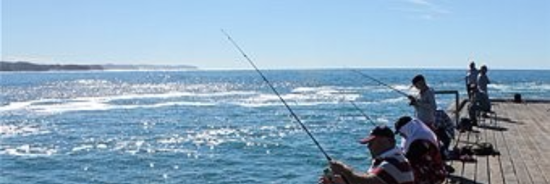 Cover image for post Fishing, by Arlana