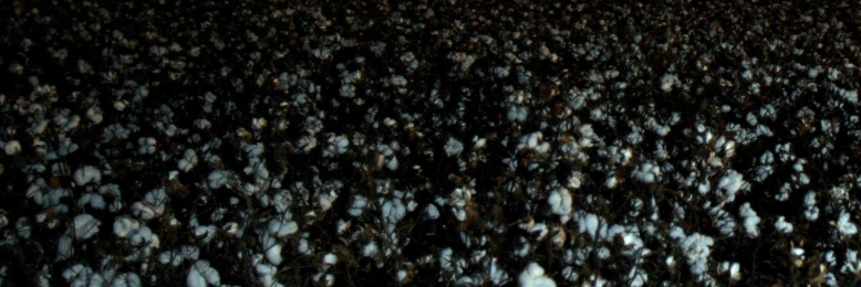 Cover image for post A Father's Love, by Ferryman