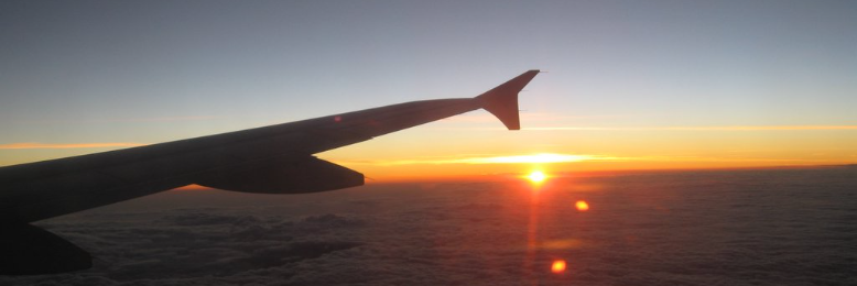 Cover image for post Bodies on Planes, by AJBermudez