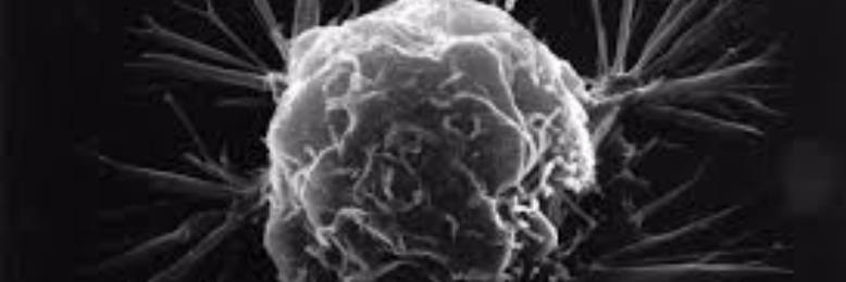 Cover image for post Don't Come Back, by JHirtle