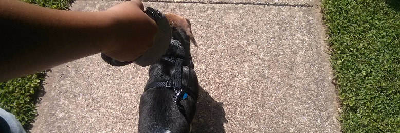 Cover image for post The Guiding Hand, by MClarice