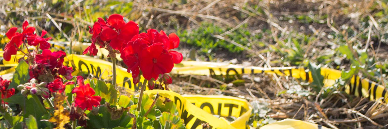 Cover image for post Forgotten, by Skyriter1