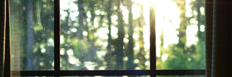 Cover image for post Surrounding whisper (Silence), by BexyMeadows