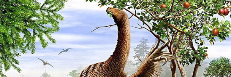 Cover image for post Not, Knot, Nothronychus, by Harry_Situation