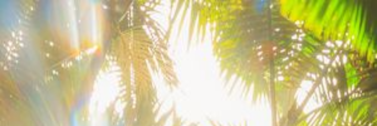 Cover image for post Lineage, by BexyMeadows