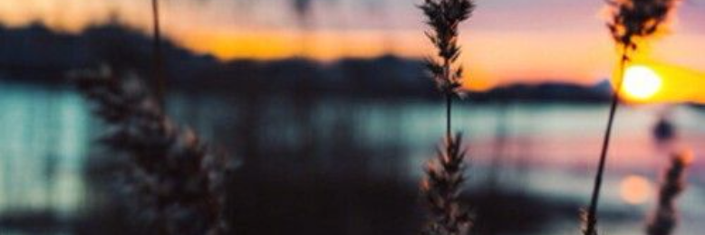 Cover image for post Promise & illusion, by BexyMeadows