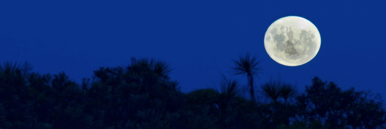 Cover image for post Spectral Moon, by dustygrein