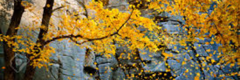 Cover image for post Naked and Proud, by sandflea68