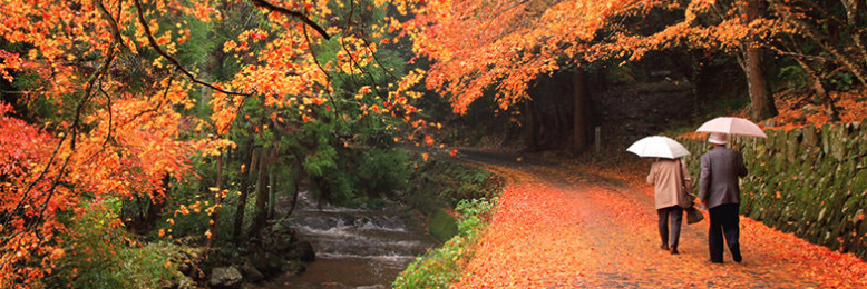 Cover image for post Septumn, by poetgreen