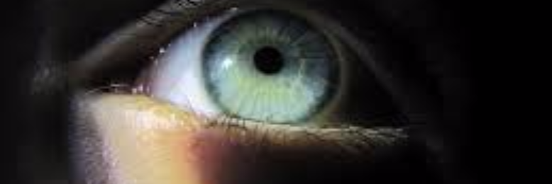 Cover image for post I Should Have Been Warned By His Eyes, by sandflea68