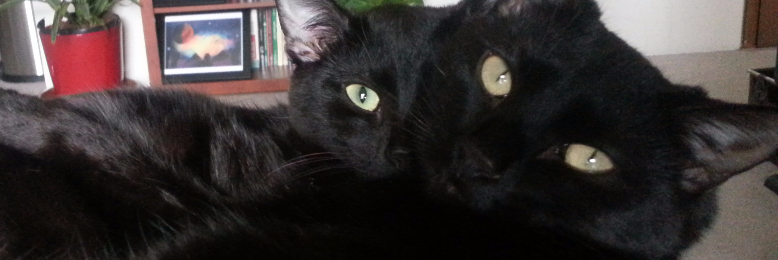 Cover image for post Love you, by AshenRose