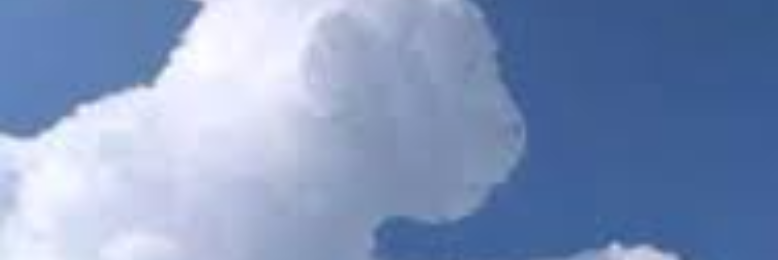 Cover image for post Sheep Across Azure Vaults, by sandflea68