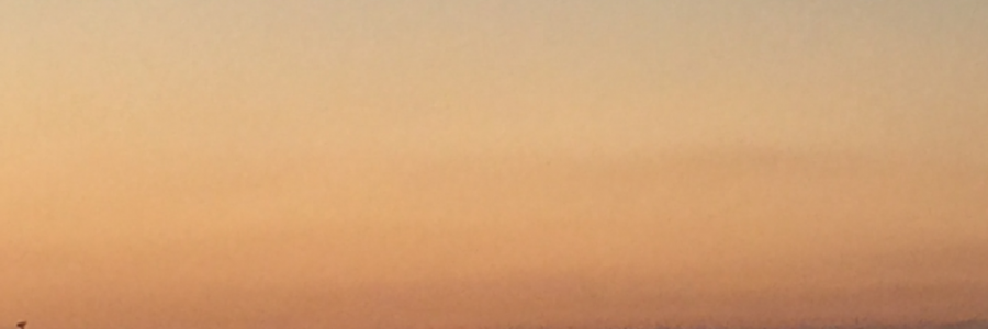 Cover image for post The realms of night!, by Ayoeridani