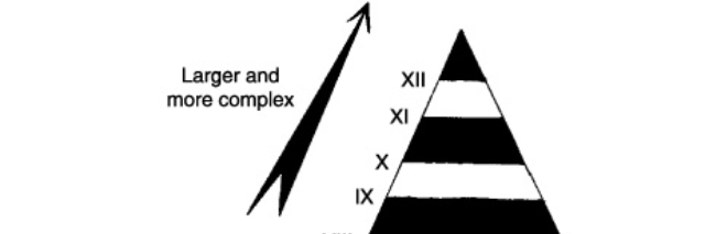 Cover image for post Levels to Life, by TheroneShellman