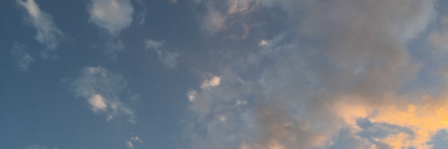 Cover image for post No Leash for the Mind, by paperadventure