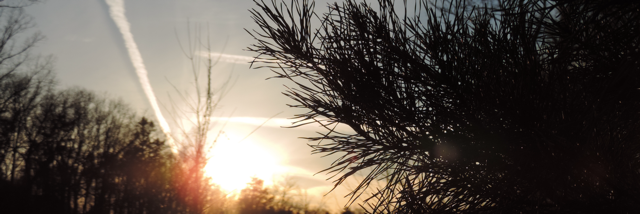 Cover image for post Creating A Heart Beat, by k_wisdom