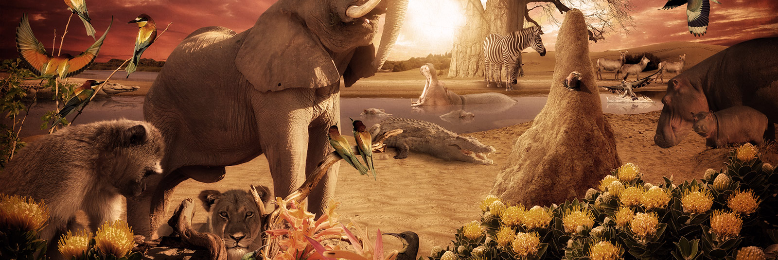 Cover image for post If I could be an animal, by poemlover